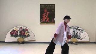 Health Qigong  Ba duan Jin  Eight Pieces of Brocade [upl. by Jobina]