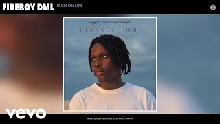 Fireboy DML  High on Life Audio [upl. by Drusy]