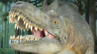 Paleontologist Trevor Valle Debunks quotDinosaurs Never Existedquot Conspiracy [upl. by Ogaitnas]