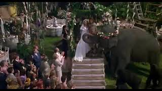 George Of The Jungle  Jungle Wedding [upl. by Ainniz]