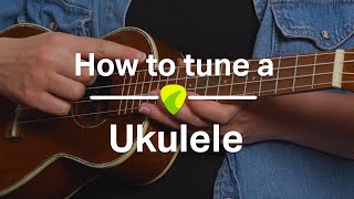 Ukulele Tutorial How To Tune a Ukulele [upl. by Noland]