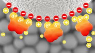 Introduction to Ionexchange chromatography [upl. by Curhan]