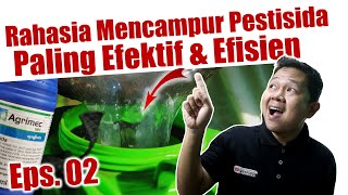 Rahasia Mencampur Pestisida Paling Efektif amp Efisien  Insektisida  Fungisida  Herbisida  Pupuk [upl. by Slade488]