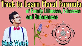 Trick to Write Floral Formulas of Family Fabaceae Solanaceae amp Liliaceae  Morphology via NCERT [upl. by Eirelam174]