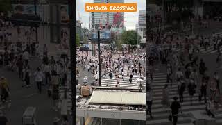 Shibuya Crossing [upl. by Karlene]