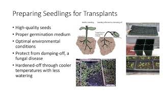 Seed Propagation [upl. by Ayit]