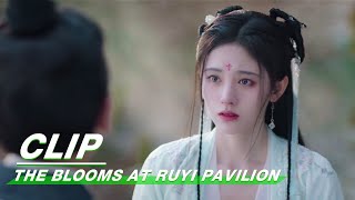 Clip Zhang Zhehan Chooses To Trust Ju Jingyi  The Blooms At RUYI Pavilion EP14  如意芳霏  iQIYI [upl. by Mahan54]