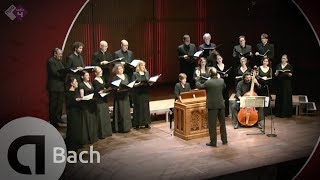 JS Bach Motet BWV 229 Komm Jesu komm  Vocalconsort Berlin [upl. by Ydderf]