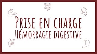 Sémiologie Chirurgicale  PEC Hémorragie Digestive [upl. by Ahsenahs]