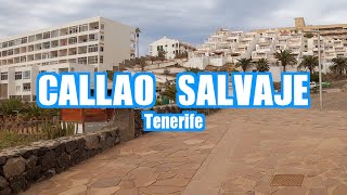 Callao Salvaje Tenerife Spain 🇪🇸 4K Walking Tour [upl. by Trembly]