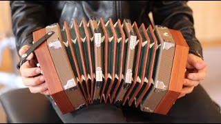 Is This the Worlds Worst Instrument Hohner Concertina Review [upl. by Yarezed]