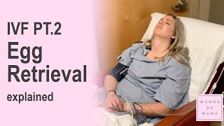 IVF Egg Retrieval explained [upl. by Eatnwahs577]