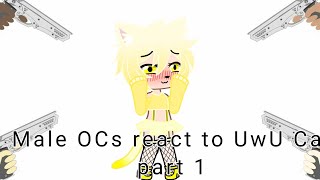 My male OCs meet the UwU Cat • Gachaclub • part 1 • read description [upl. by Osher]