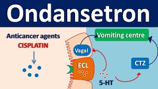 Ondansetron  An antiemetic for chemotherapy induced emesis [upl. by Power]