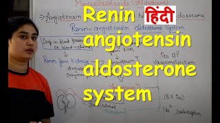 Renin angiotensin aldosterone system in Hindi  angiotensin work  functions  Role in BP [upl. by Tearle]