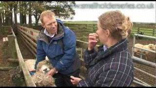 Sheep Drenching worming with Adam Henson [upl. by Quinton468]