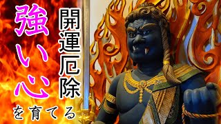 不動明王真言聞き流し～迷いの煩悩を焼き尽くす慈悲の仏様。聞くだけで不動明王の功徳を得る事が出来る御真言 [upl. by Charbonnier]