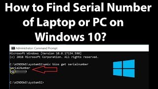 How to Find Serial Number of Laptop or PC on Windows 10 [upl. by Eenad]