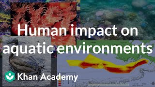 Human impact on aquatic environments AP Environmental science Khan Academy [upl. by Stevena]