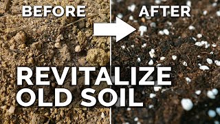 2 Easy Methods to Revitalize OLD Potting Soil [upl. by Cristy139]