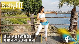 Beginners Belly Dance Cardio Workout  Shimmy Adventures [upl. by Airamas]