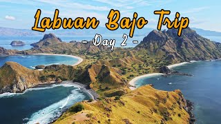 Labuan Bajo Trip  Day 2  Unbelievable Padar Island Pink Beach Komodo Dragon and Taka Makasar [upl. by Annis]