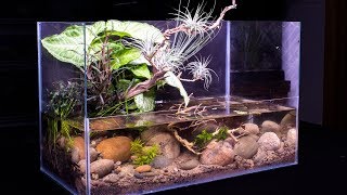 DIY Pond Themed Nano Riparium [upl. by Neelon]