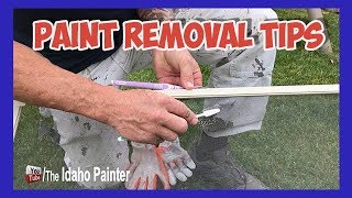 Cleaning Window Screens Paint REMOVAL Tips [upl. by Wawro]