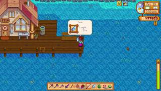 How to catch a Tuna fish in Stardew Valley [upl. by Blanca]