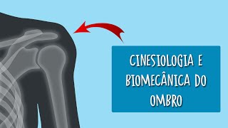 Cinesiologia e biomecânica do ombro [upl. by Koziara]