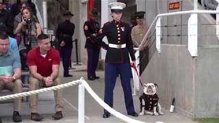 USMC Parris Island Graduation March 8 2019 [upl. by Jessamyn269]