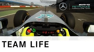 F1 W03  onboard camera with Nico Rosberg [upl. by Siroved100]