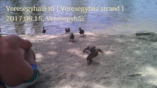 Veresegyház Strand  VeresegyháziTó   20170615 Veresegyház [upl. by Bank]