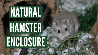 How to make a Natural Hamster Enclosure [upl. by Tore10]