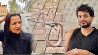 Ghar mein nikla saanp 😱 snake 🐍 [upl. by Kalin467]