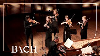 Bach  Orchestral Suite no 3 in D major BWV 1068  Mortensen  Netherlands Bach Society [upl. by Aidni]