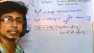 Antigen antibody reaction overview [upl. by Nicholas]