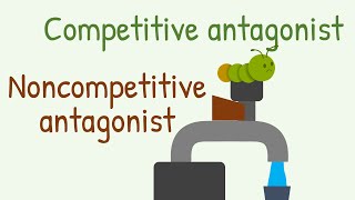 Competitive Antagonist vs Noncompetitive Antagonist [upl. by Annoek610]