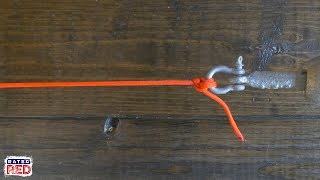 How to Tie an Anchor Hitch [upl. by Nairret]