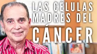 Episodio 1557 Las Células Madres Del Cáncer [upl. by Mark]