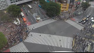 Japans Shibuya Crossing may be the busiest pedestrian crossing in the world [upl. by Ynney]