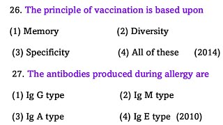 DNA Replication  Molecular Basis of Inheritance  Class 12 Genetics [upl. by Irvin]