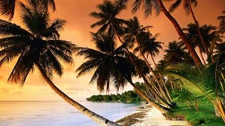 Beautiful Tropical Music amp Caribbean Music amp Hawaiian Music  Island Paradise 🌴 [upl. by Gisela]