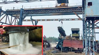 How To Manufacturing Sugar From Sugarcane In Sugar Mill With All Process 2021 [upl. by Latimer]