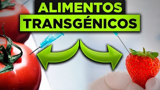 ¿Qué son los alimentos transgénicos  MERX [upl. by Cos]