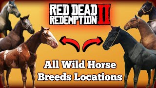 All Wild Horse Breed Locations in Red Dead Redemption 2 [upl. by Radke]