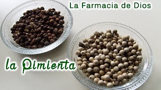 La Pimienta propiedades y beneficios para nuestra salud [upl. by Osmond533]