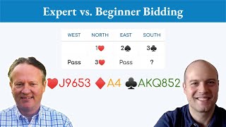 How beginner intermediate and expert players might bid this bridge hand differently [upl. by Ainitsirhc]