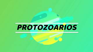 ¿Que son los protozoarios [upl. by Mela156]