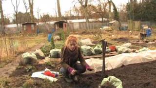 Winter work on the allotment with Alys Fowler [upl. by Ruttger]